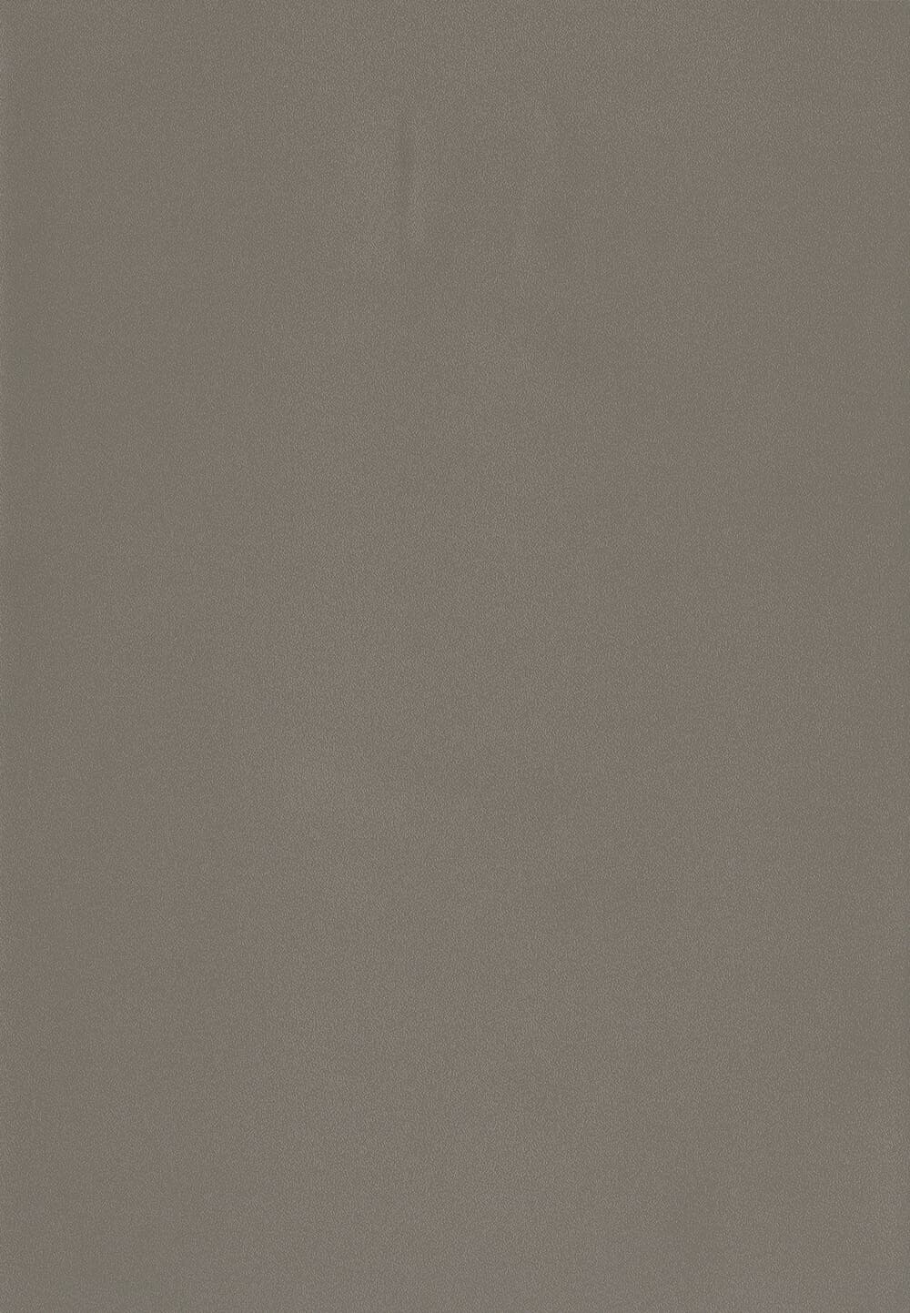 Grey Sand AS 509